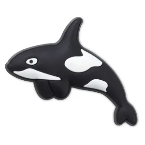 Arctic Orca Jibbitz