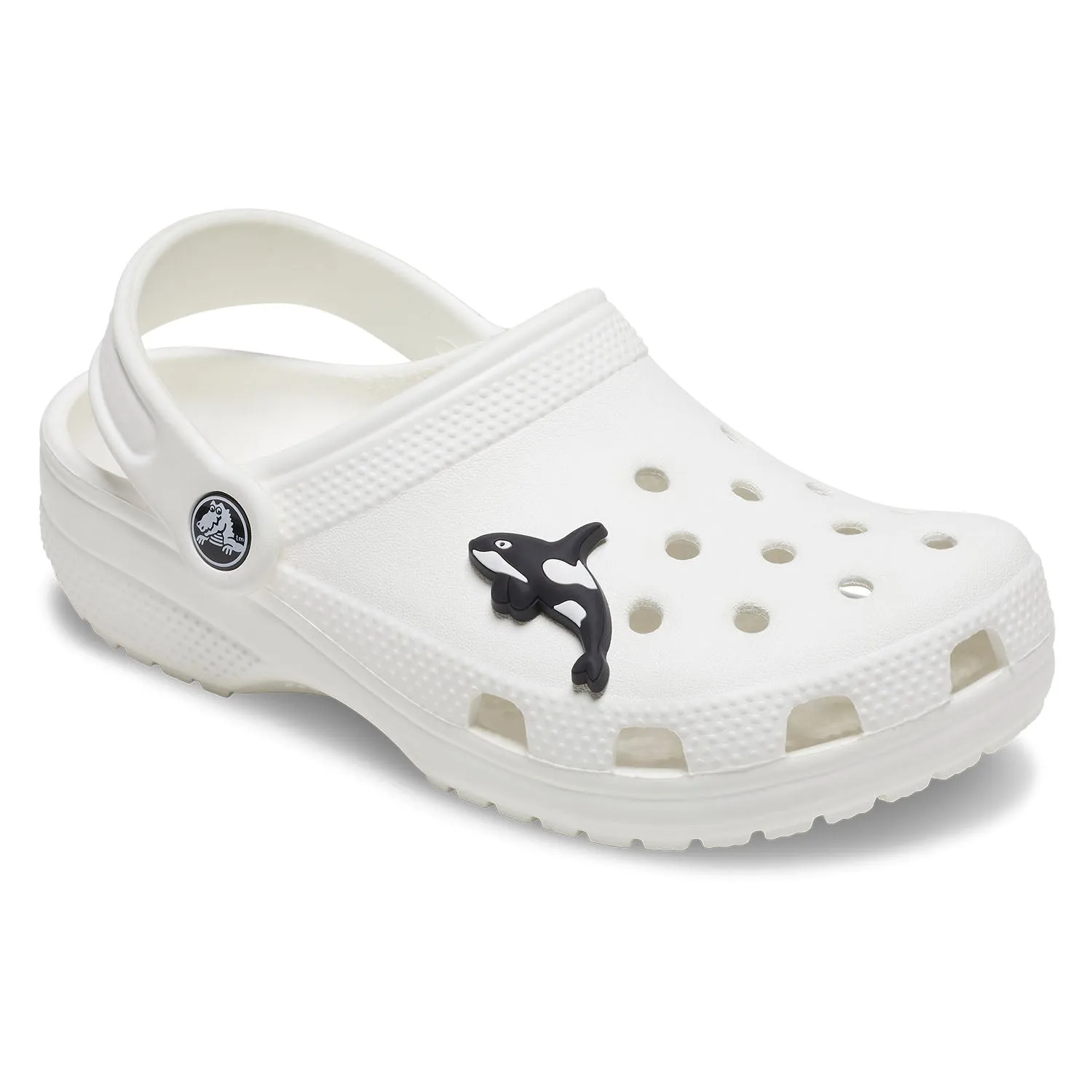 Arctic Orca Jibbitz