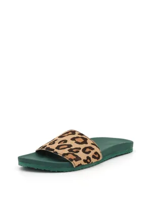 Brandblack Pronto Superlux Leo Forest