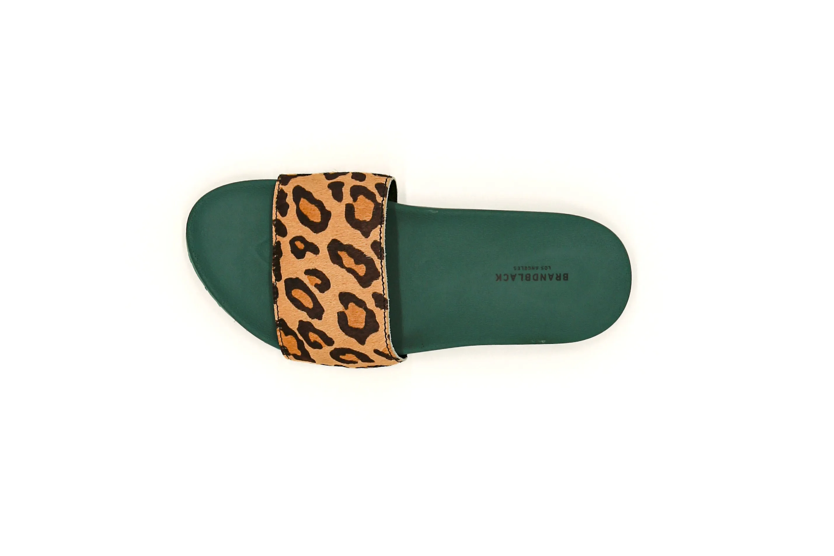 Brandblack Pronto Superlux Leo Forest