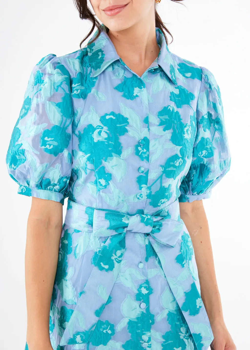 Charlotte Gown Mint Rose Vine Organza