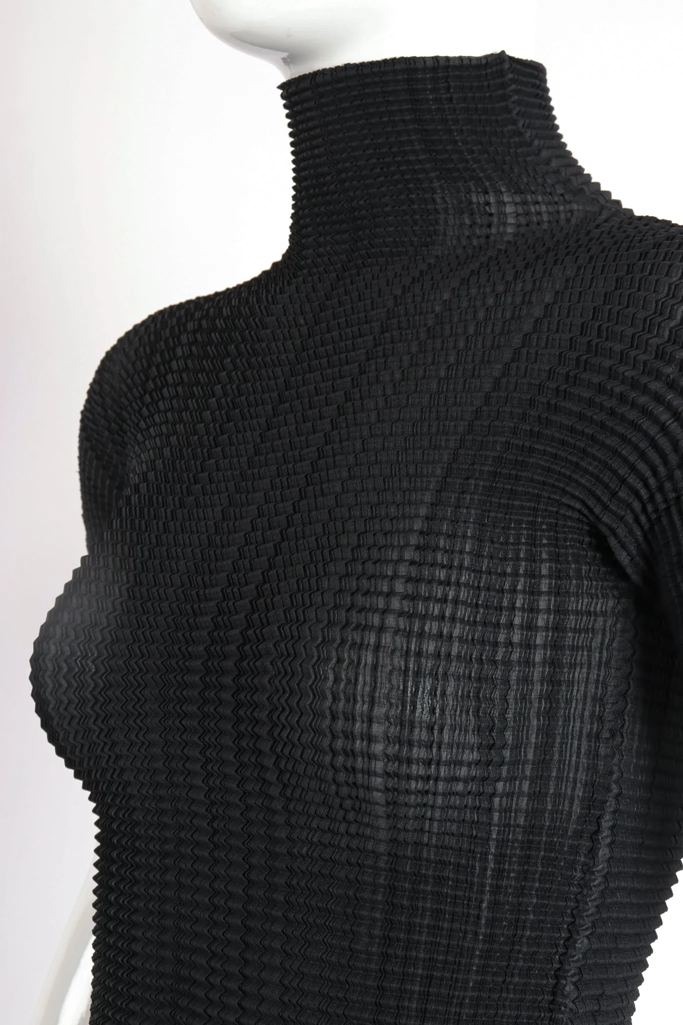 Crinkle Pleated Turtleneck Top
