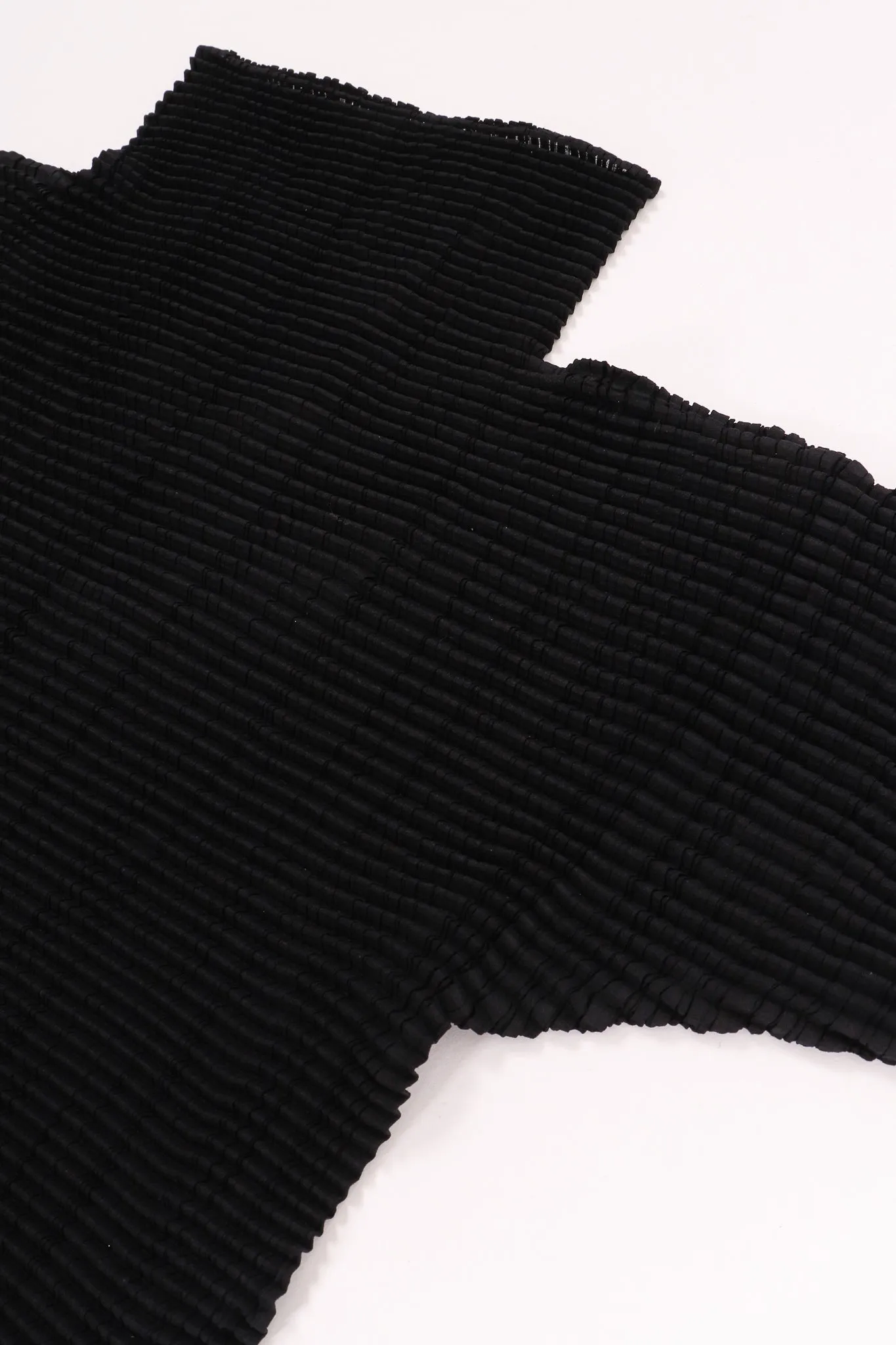 Crinkle Pleated Turtleneck Top