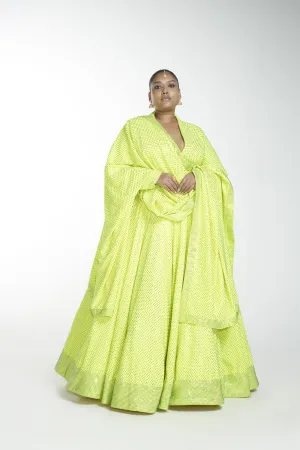 Daffodil Lehenga