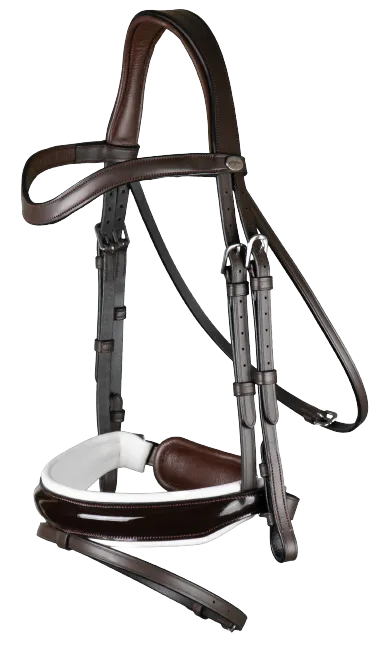 Dy'on Large Crank Noseband Bridle with Flash WODCAM/N/O