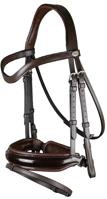 Dy'on Large Crank Noseband Bridle with Flash WODCAM/N/O