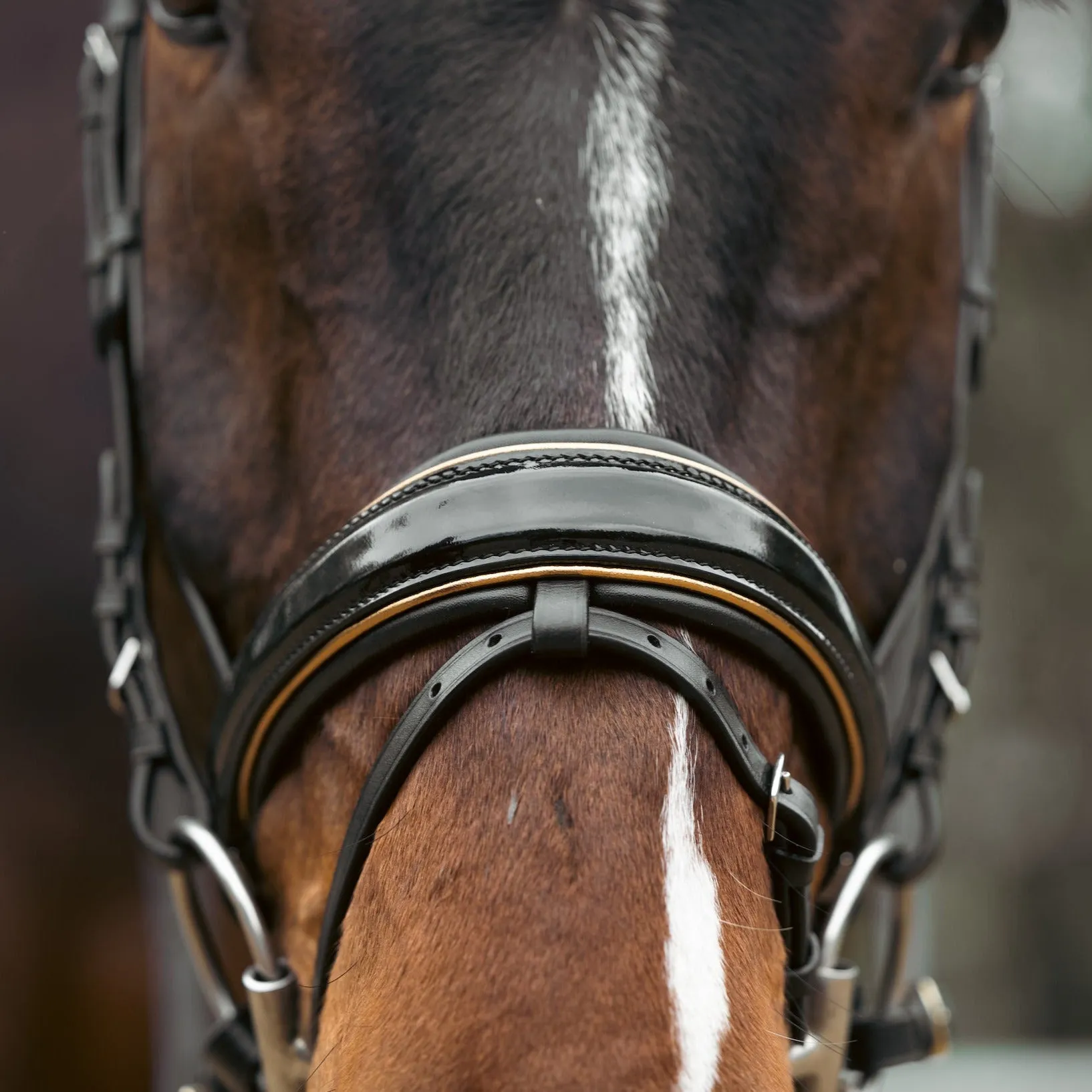 Geneva - Black Patent Snaffle Bridle with Metallic Gold Piping with Removable Flash
