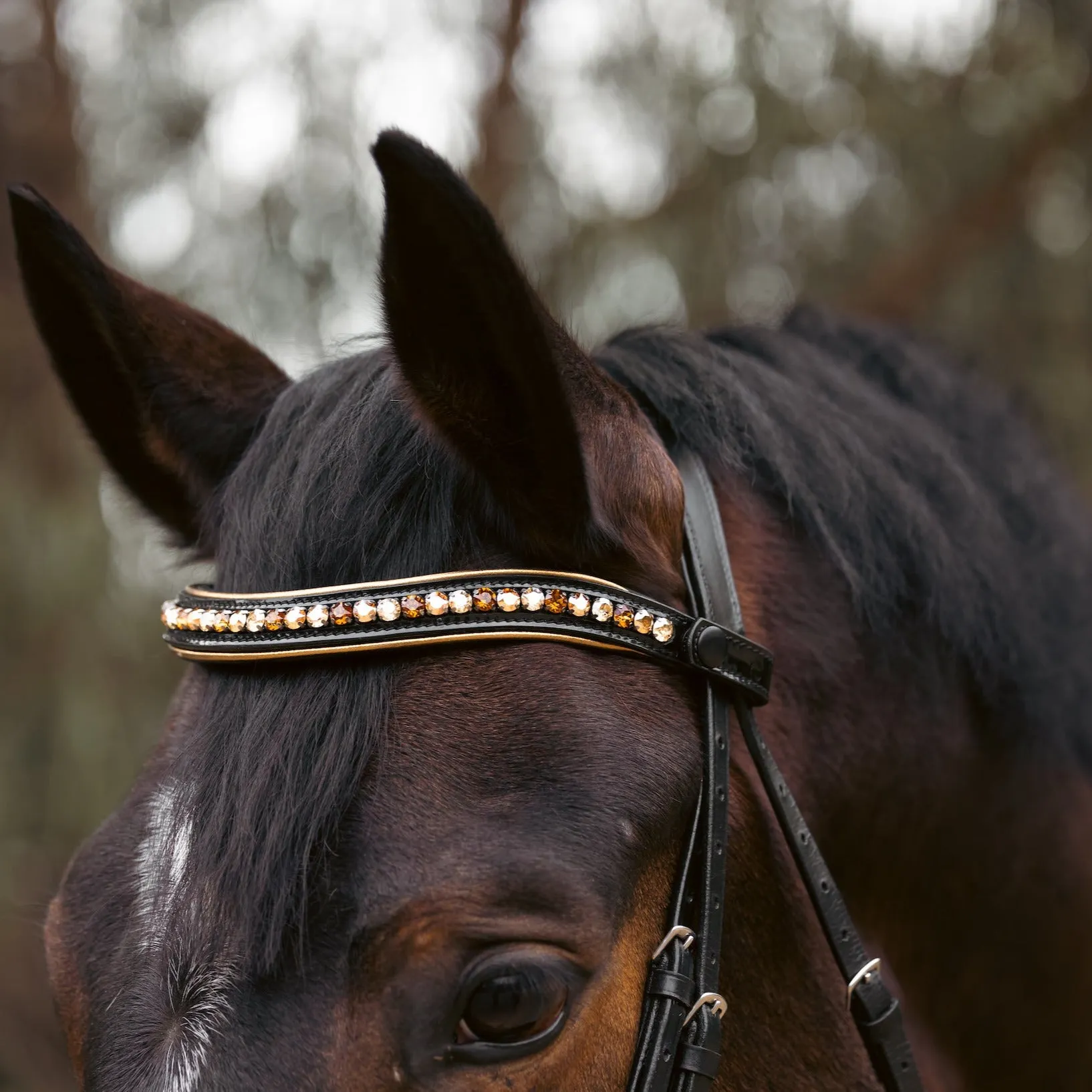 Geneva - Black Patent Snaffle Bridle with Metallic Gold Piping with Removable Flash