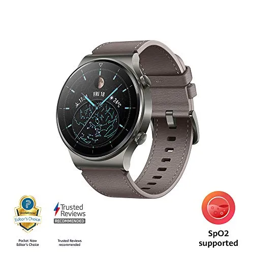 HUAWEI Watch GT 2 Pro Smartwatch, 1.39" AMOLED HD Touchscreen, 2-Week Battery Life, GPS and GLONASS, SpO2, 100  Workout Modes, Bluetooth Calling, Heartrate Monitoring, Grey