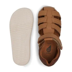 IW Roam Caramel   Toffee