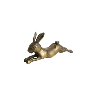 Jumping Aluminum Rabbit