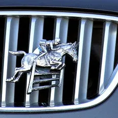 Jumping Horse -  Free Shipping