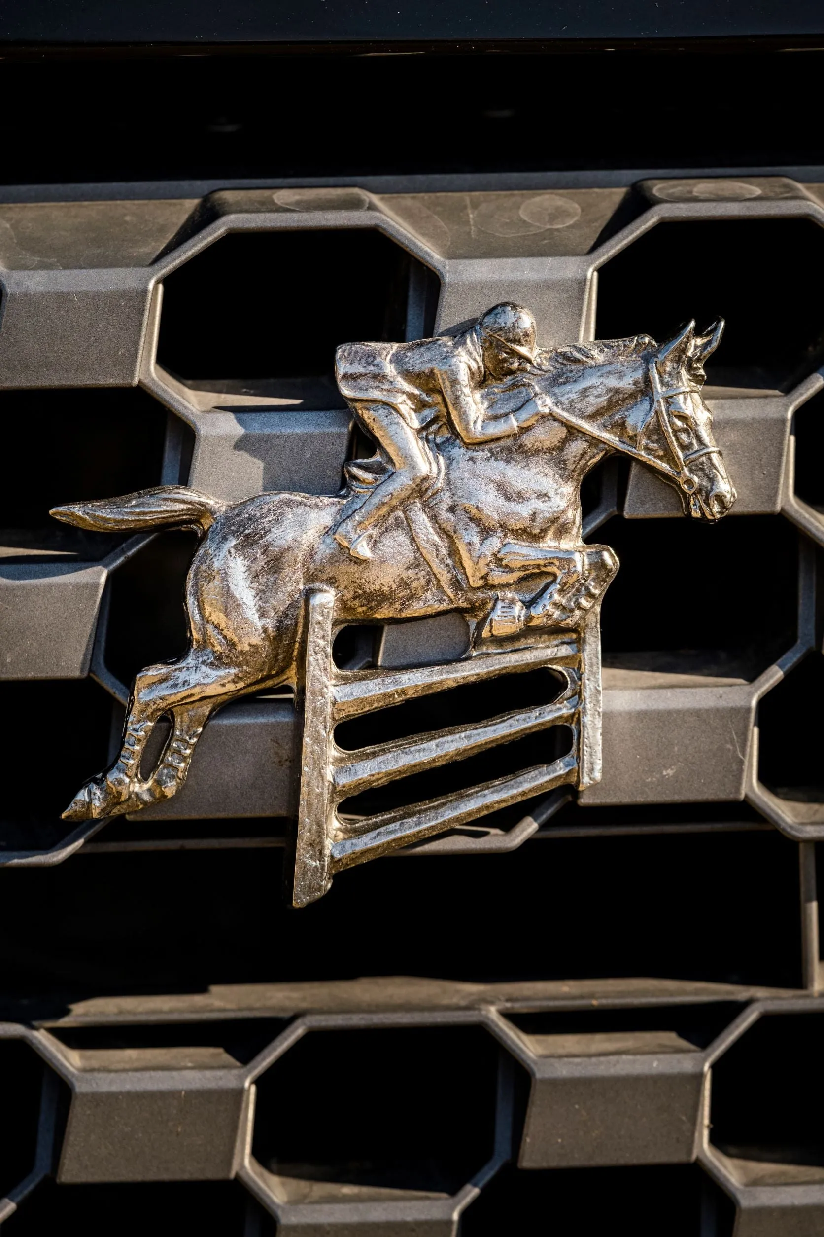 Jumping Horse -  Free Shipping