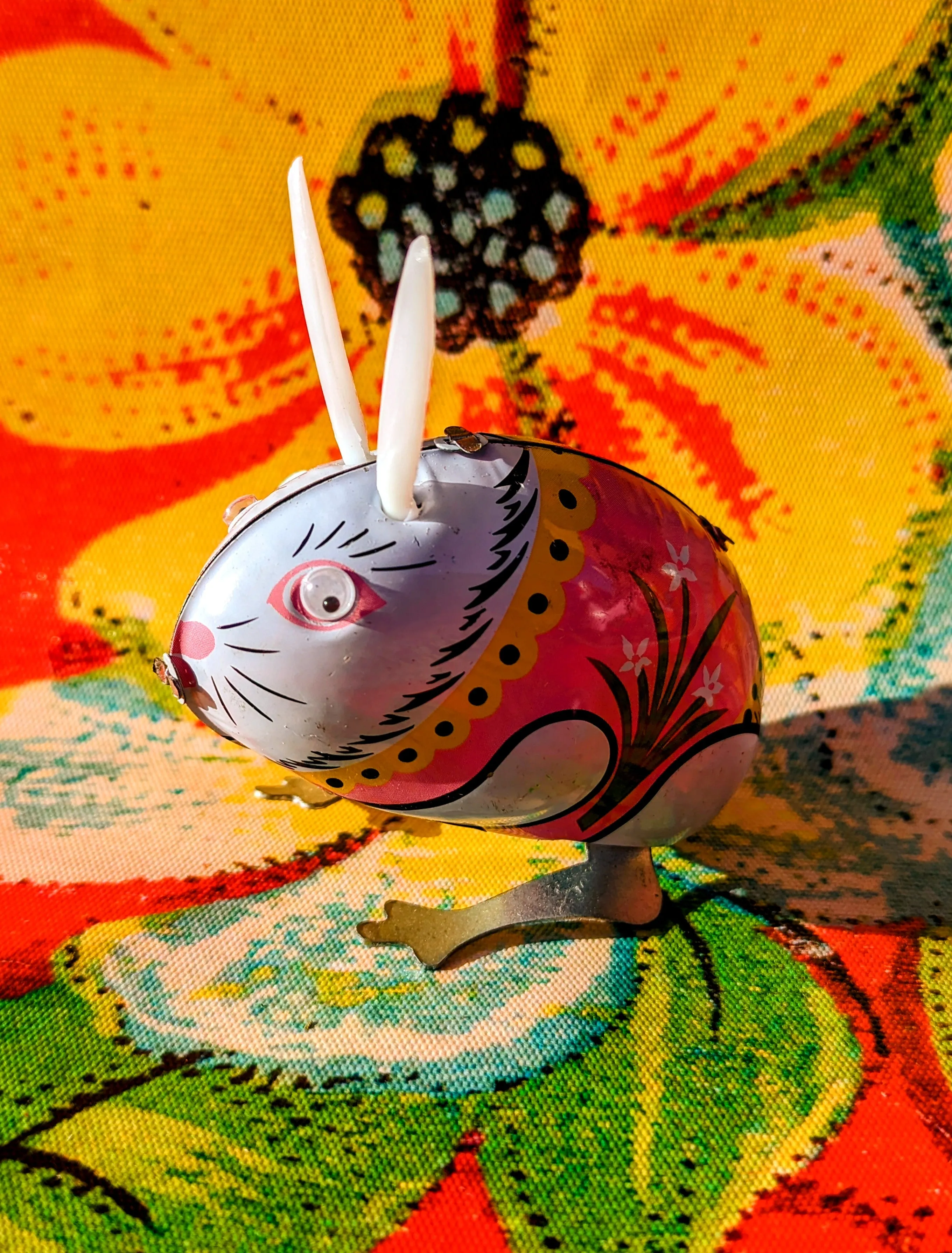 Jumping rabbit