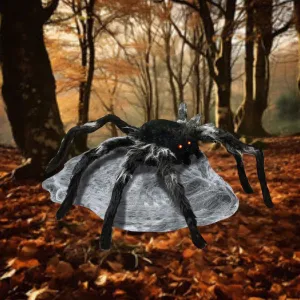 Jumping Spider Black
