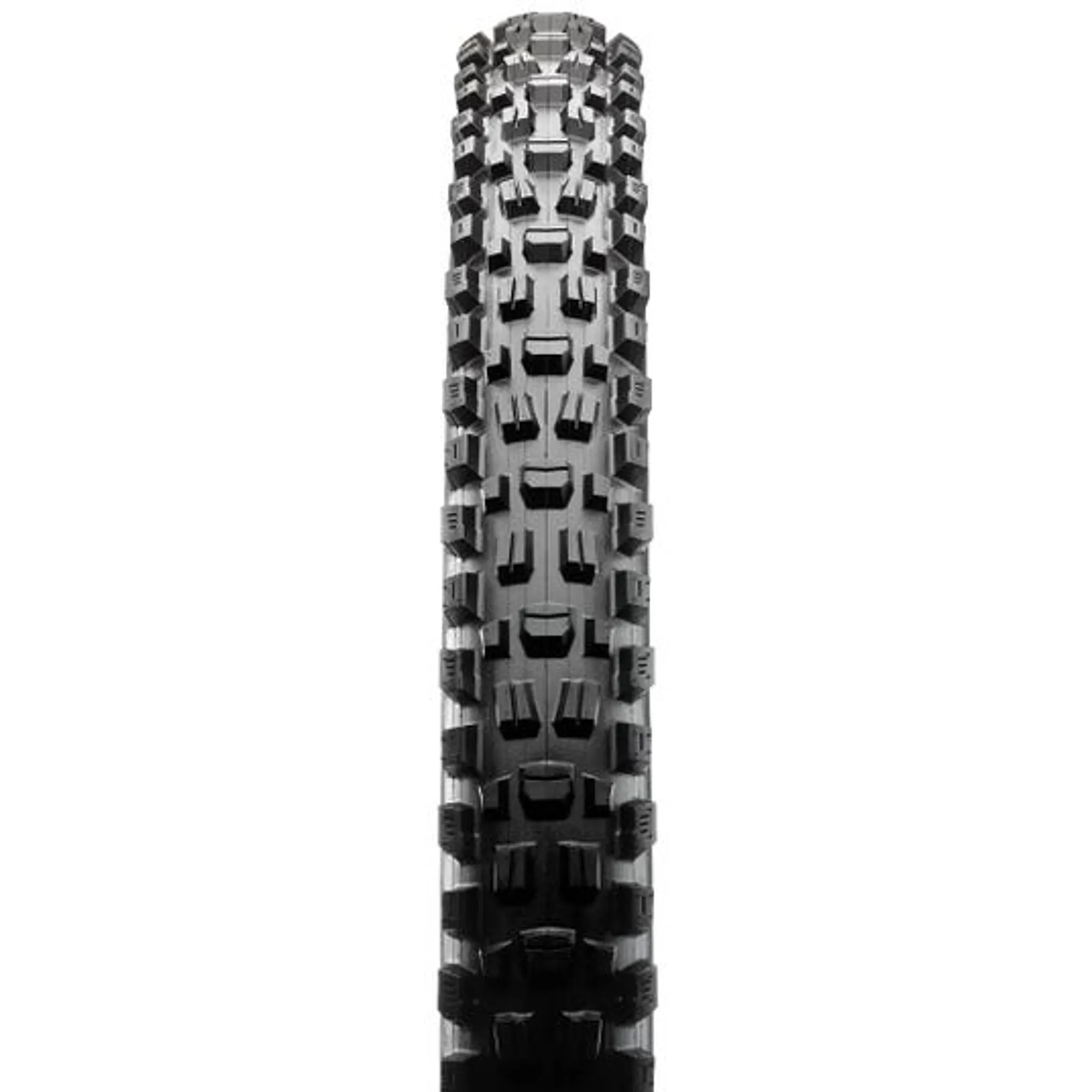 Maxxis Assegai Folding Tyre 3C Terra EXO  TR 120TPI 29 x 2.60