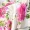 Multi Floral Satin Ruffle Midi Dress