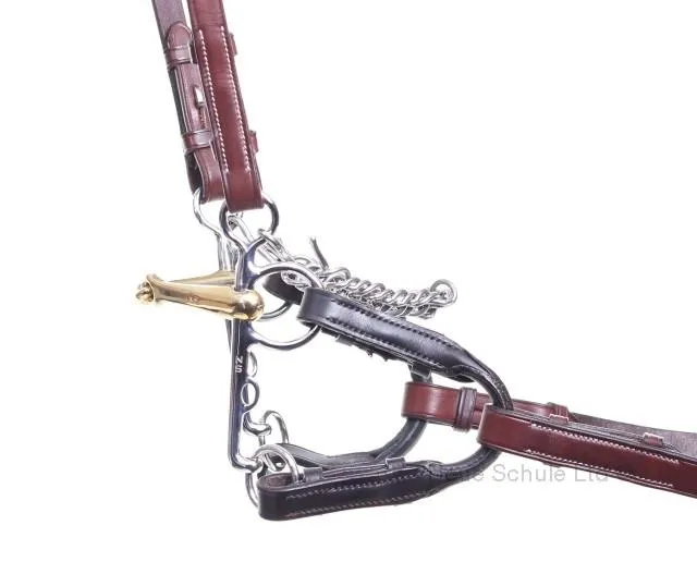 Neue Schule Turtle Top Pelham