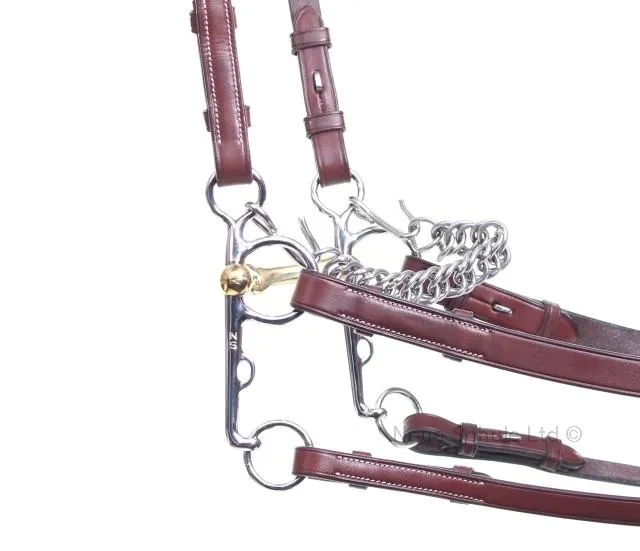Neue Schule Turtle Top Pelham