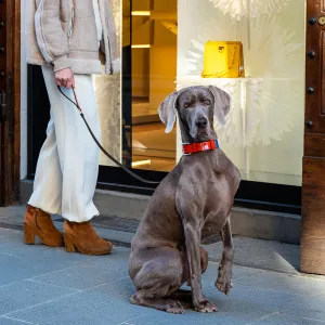 Patent Leather Rugby Collar