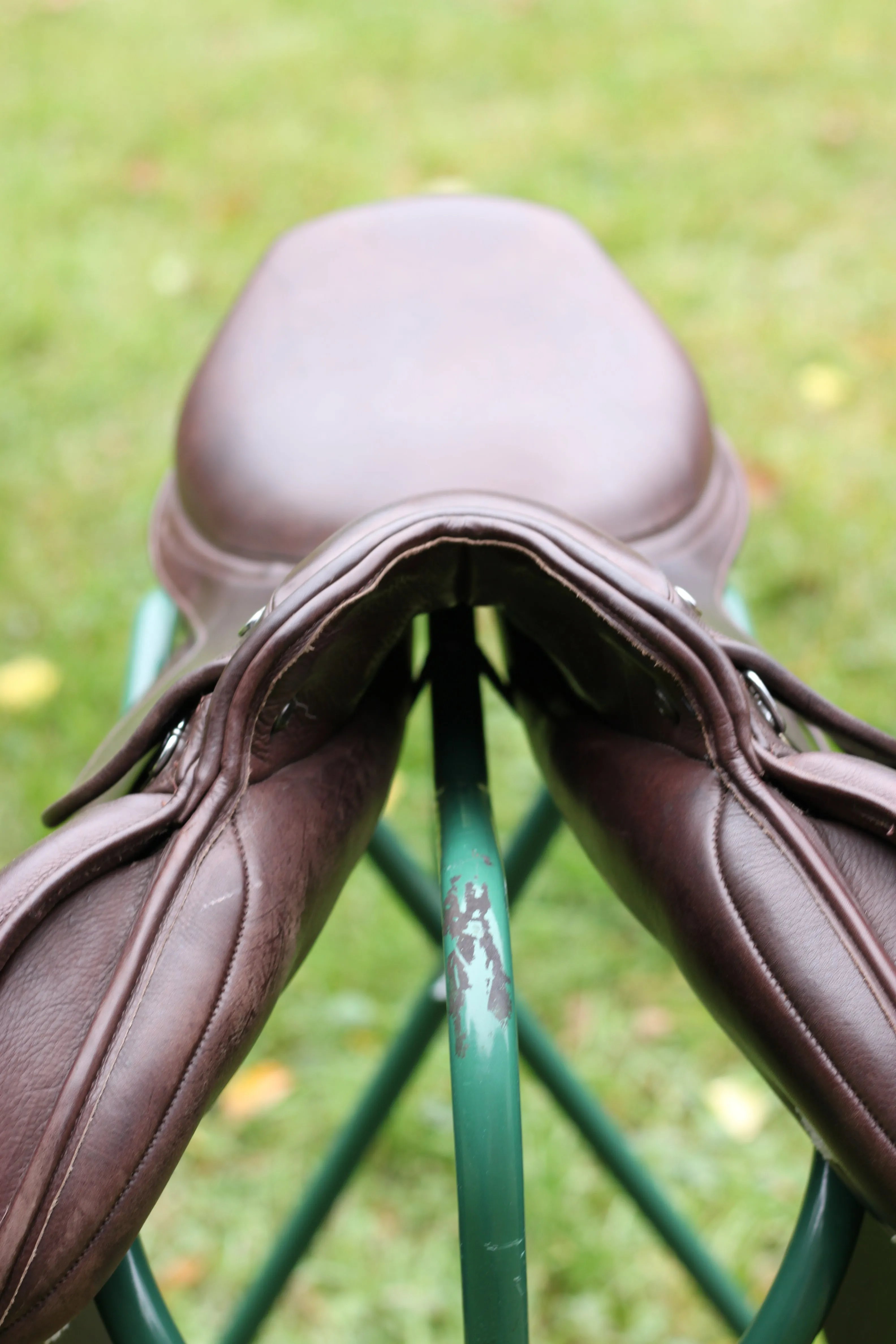 Pegasus Vision Jumping Saddle - Junior & Adult