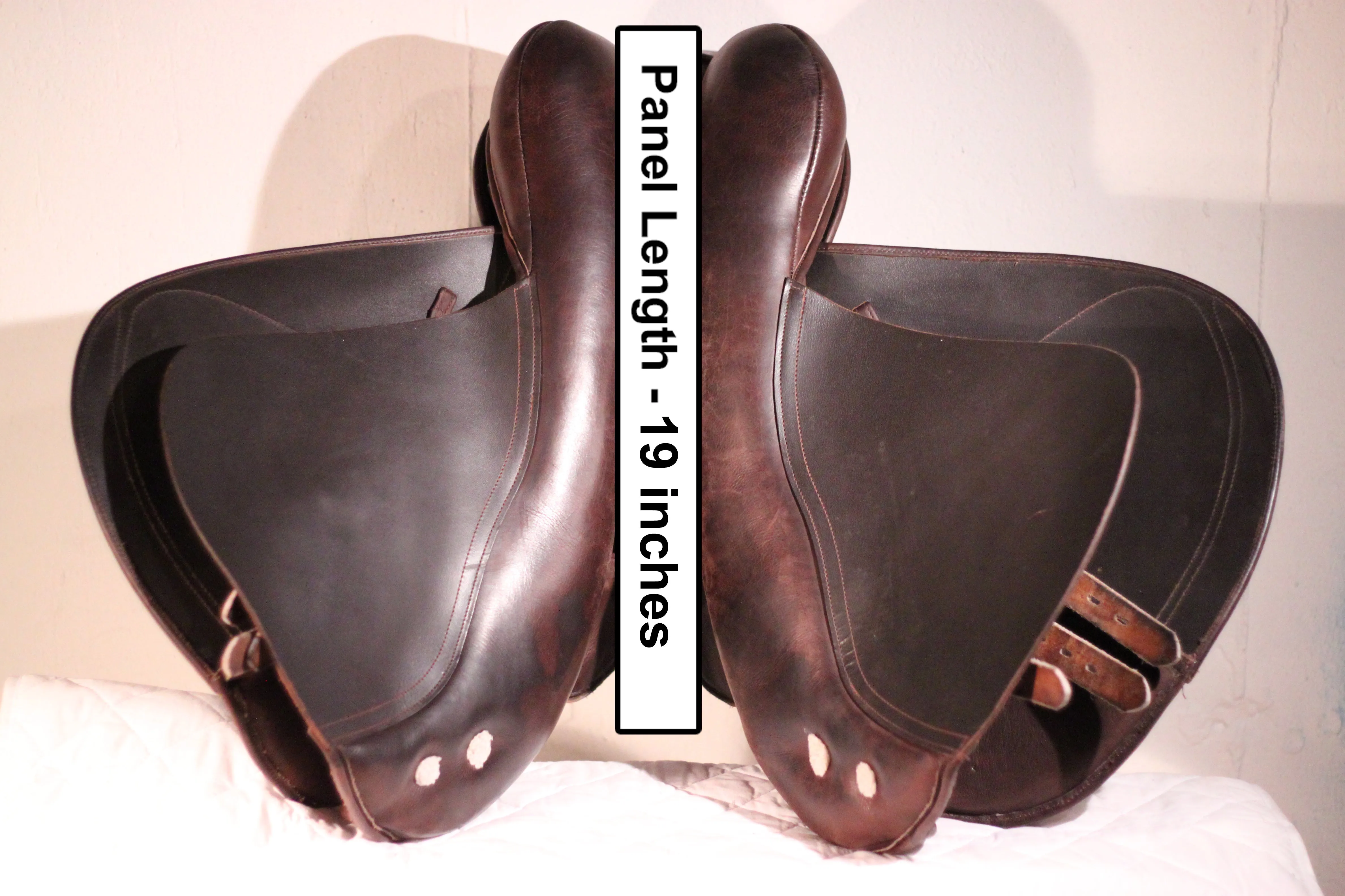 Pegasus Vision Jumping Saddle - Junior & Adult