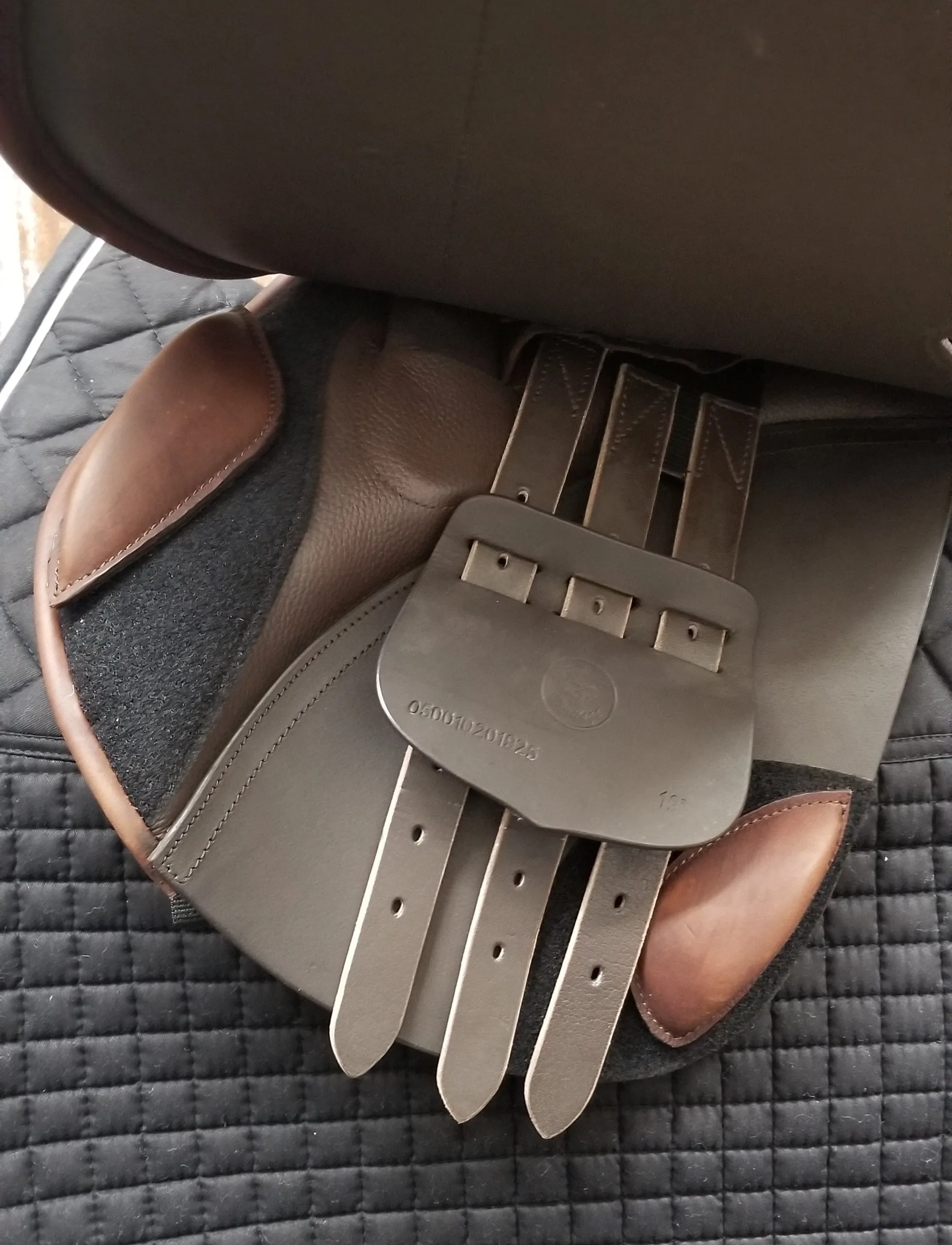 Royal Highness 19" Arora Jumping Saddle