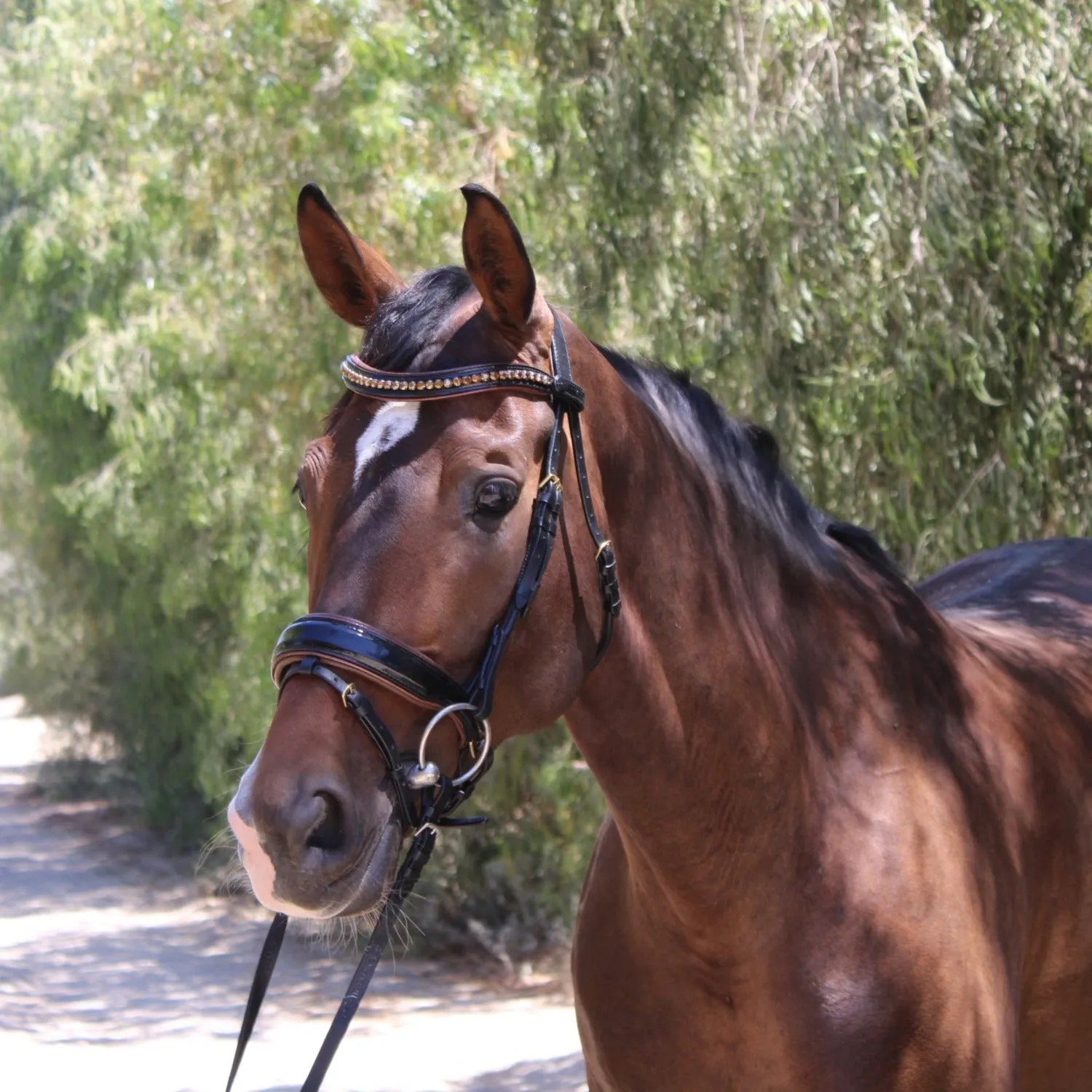 The Palermo Black Patent Leather Snaffle with Brown Padding