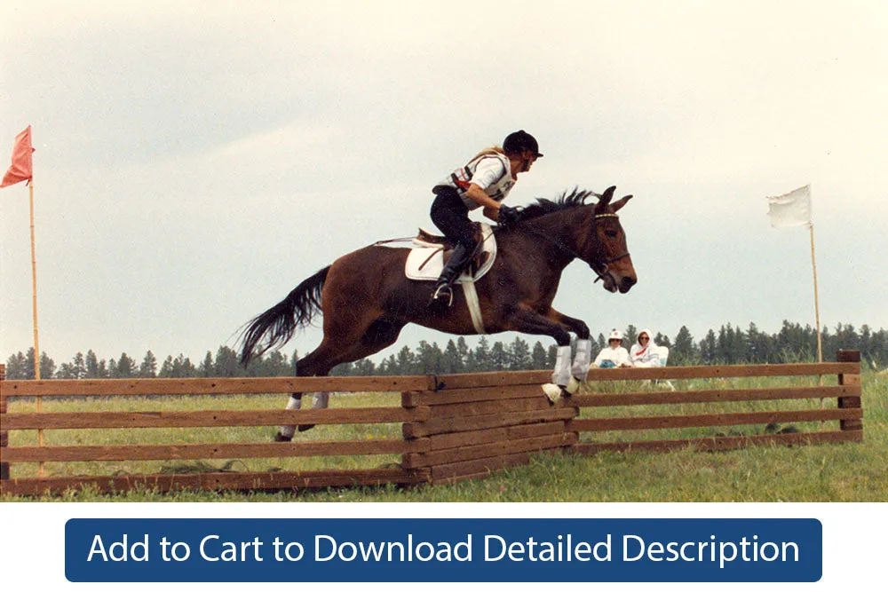 Training Tip - #104 Different Types of Jumps