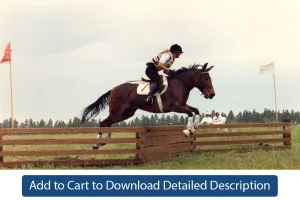 Training Tip - #104 Different Types of Jumps