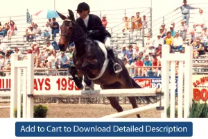 Training Tip - #106 Stadium Jumping