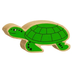 Turtle Figure
